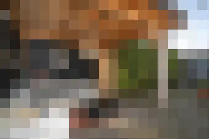 Stoofweg 11 Herkingen thumbnail 32
