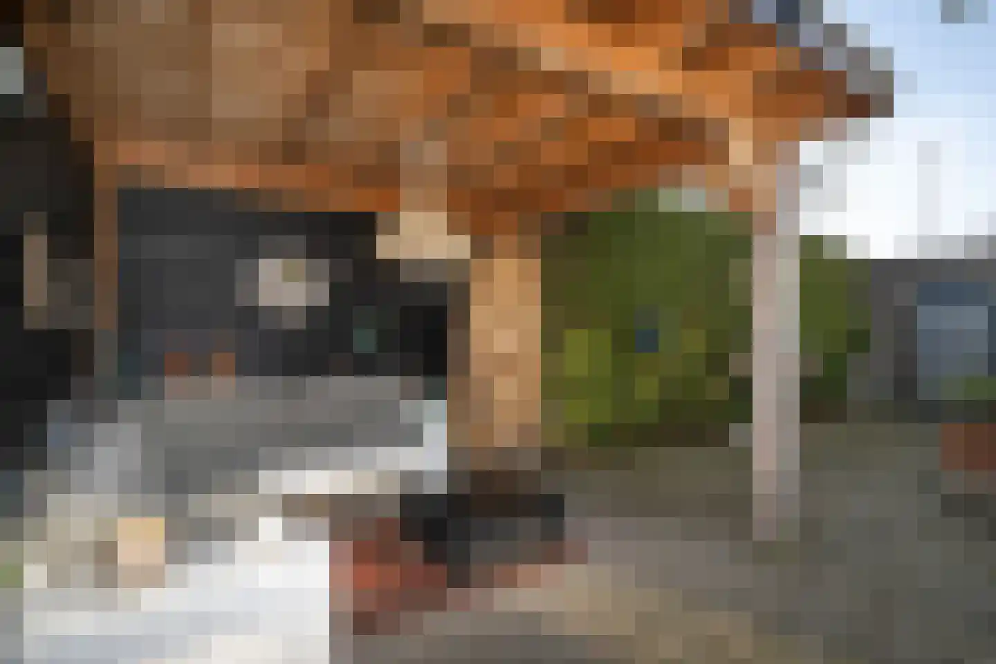 Stoofweg 11 Herkingen thumbnail 32