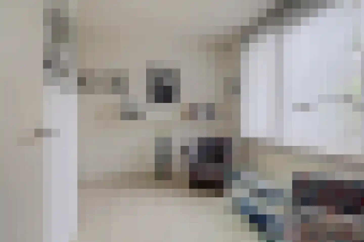Stookheuvel 2 Best thumbnail 17