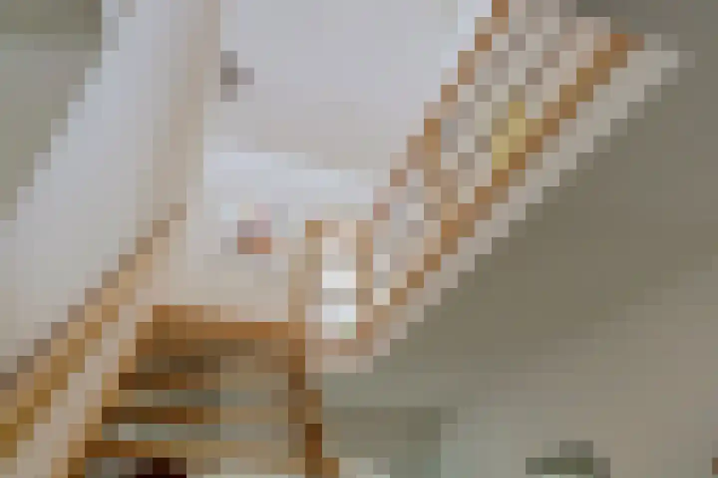 Stookheuvel 2 Best thumbnail 37