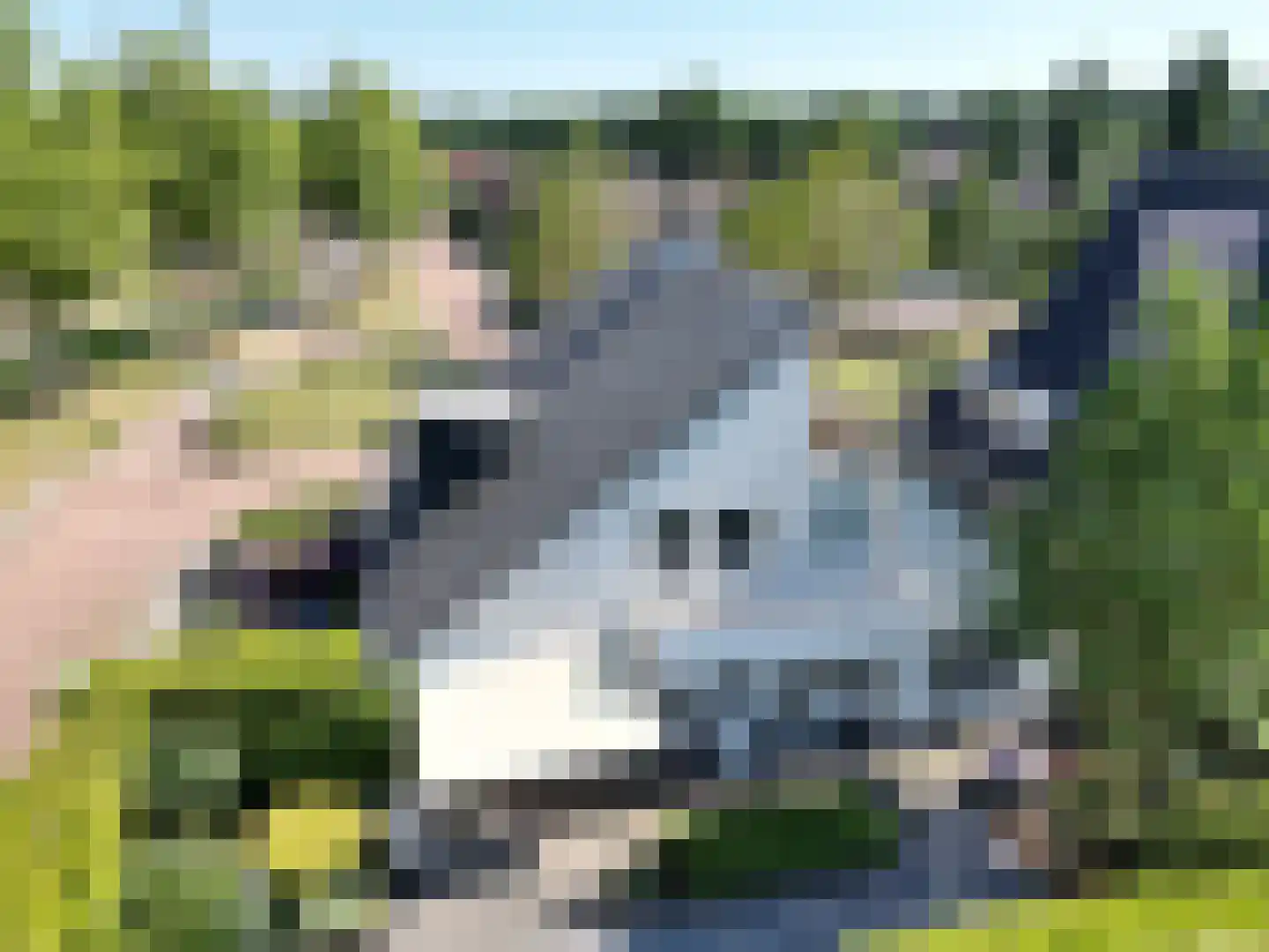 Stookheuvel 2 Best thumbnail 56