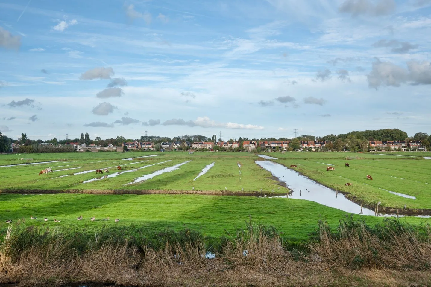 Stoombootweg 56 Amsterdam thumbnail 36