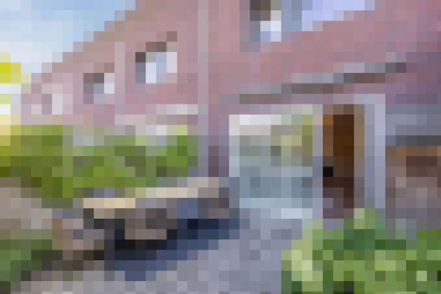 Stoomlederplein 13 Rijen thumbnail 20
