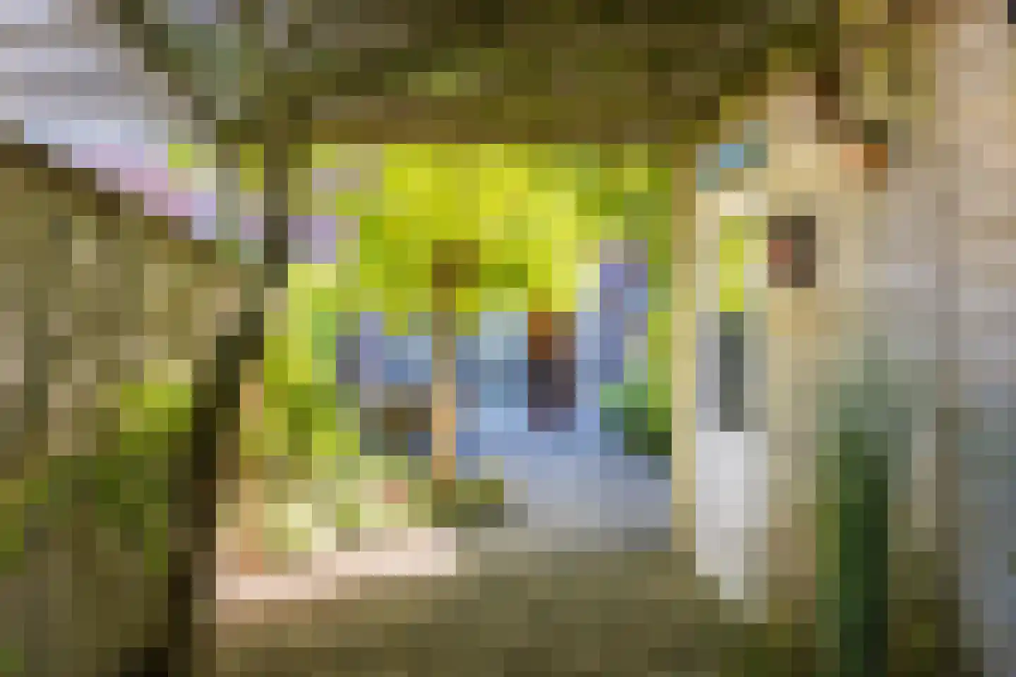 Stoomlederplein 13 Rijen thumbnail 5
