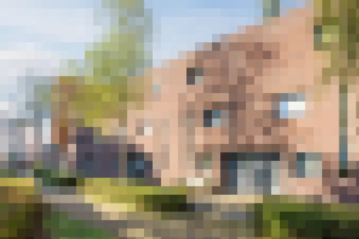 Stoomlederplein 13 Rijen thumbnail 51