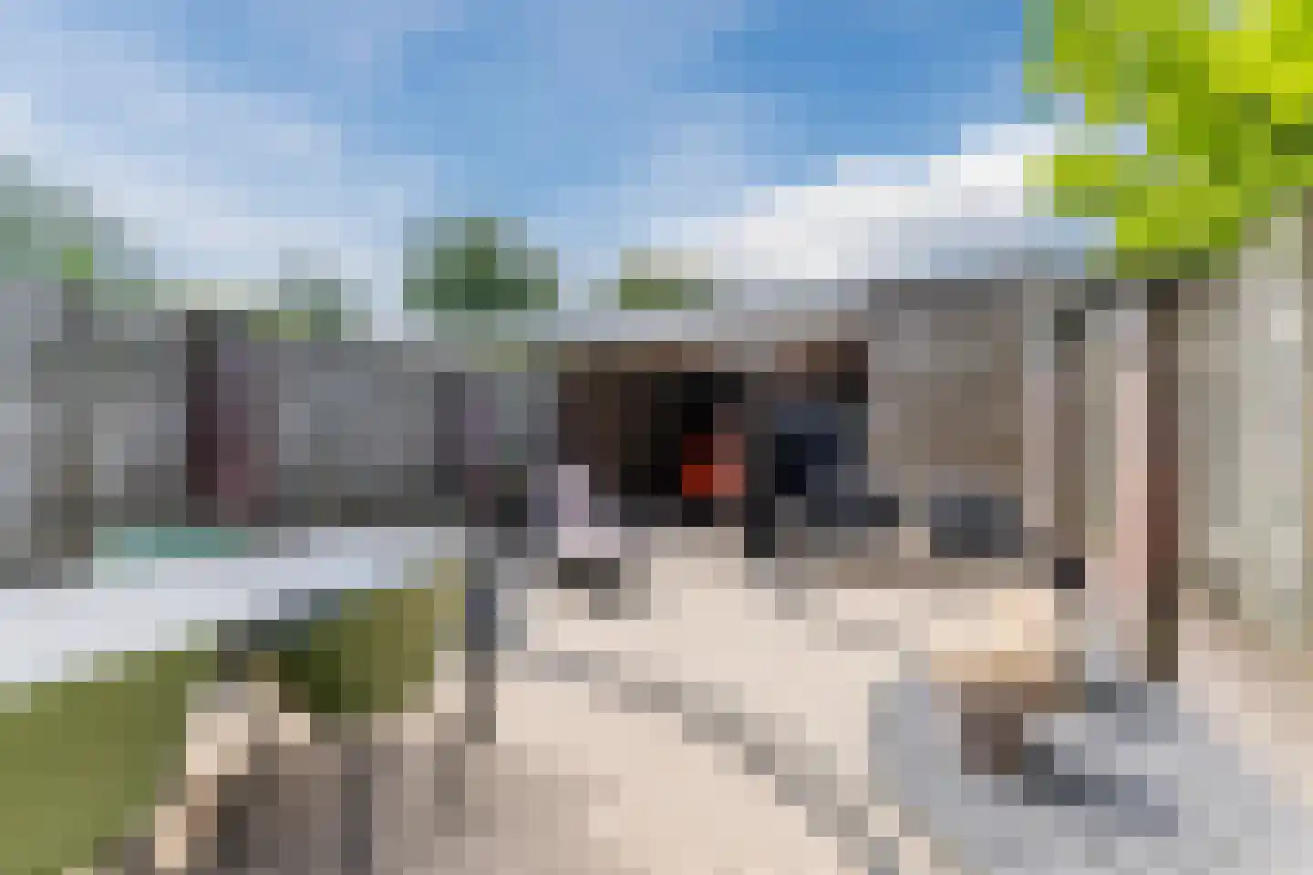 Stoomlederplein 27 Rijen thumbnail 15