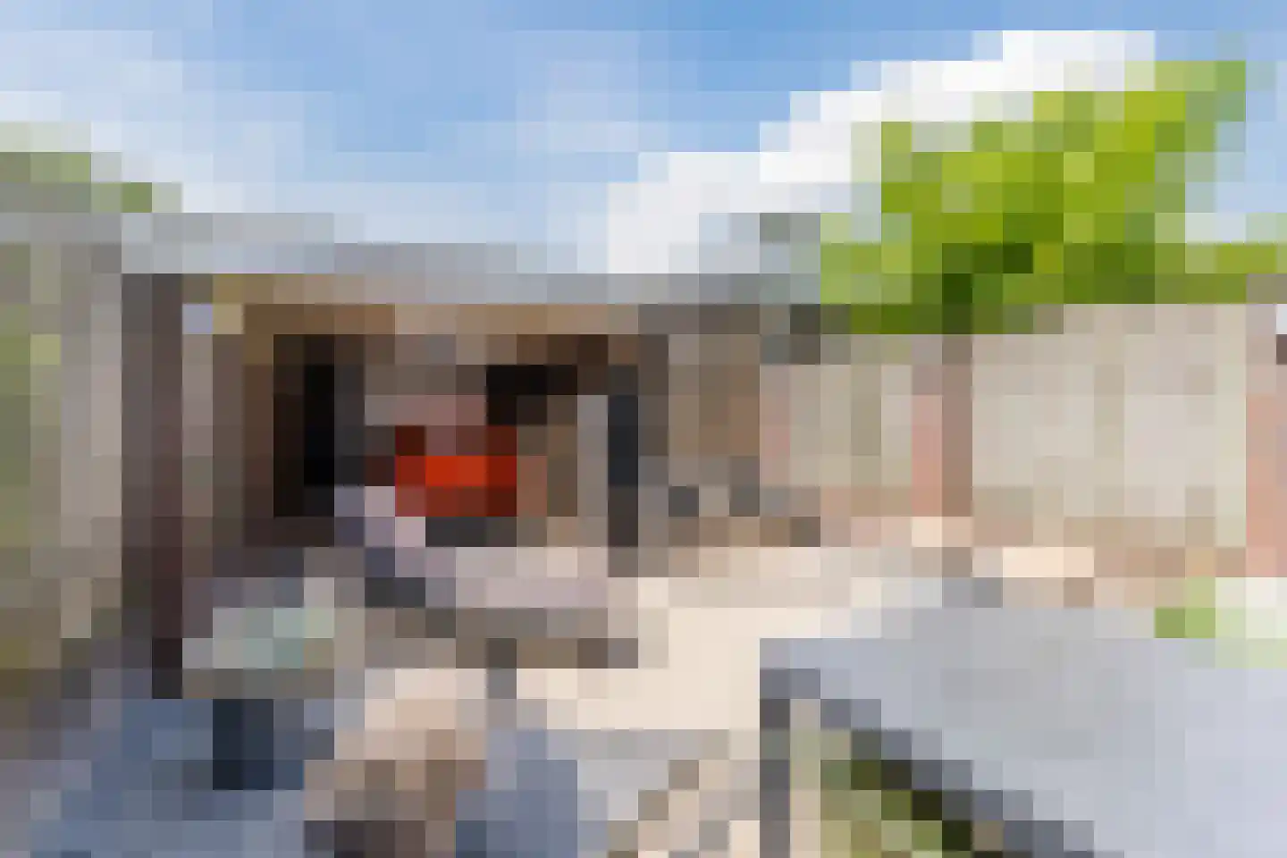 Stoomlederplein 27 Rijen thumbnail 16