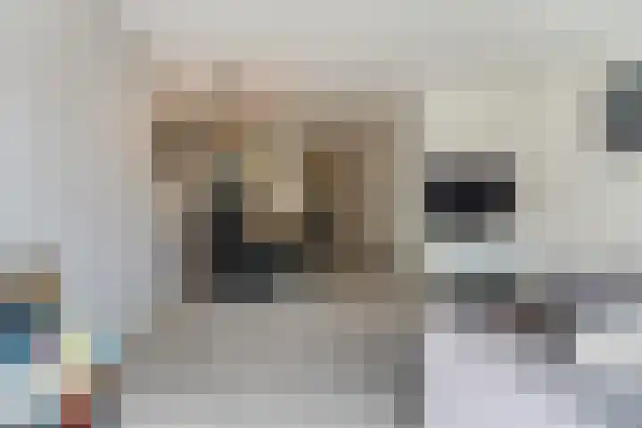 Stoomlederplein 35 Rijen thumbnail 11