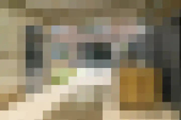 Stoomlederplein 35 Rijen thumbnail 21