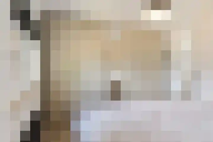Stoomlederplein 35 Rijen thumbnail 24