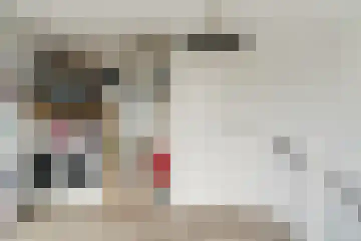 Stoomlederplein 35 Rijen thumbnail 34