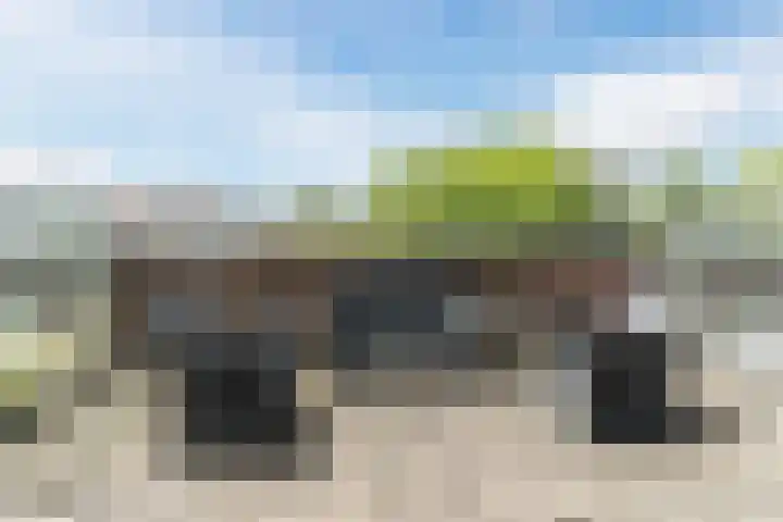 Stoomlederplein 35 Rijen thumbnail 40