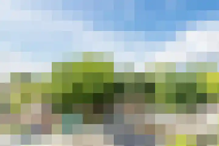 Stoomlederplein 35 Rijen thumbnail 43
