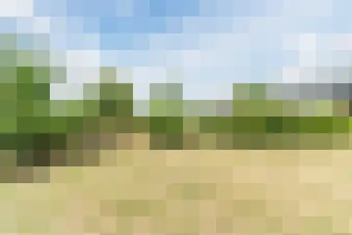 Stoomlederplein 35 Rijen thumbnail 47