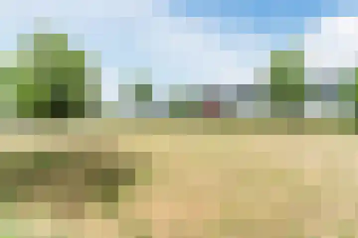 Stoomlederplein 35 Rijen thumbnail 48