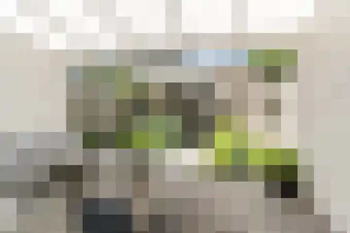 Stoomlederplein 7 Rijen thumbnail 16