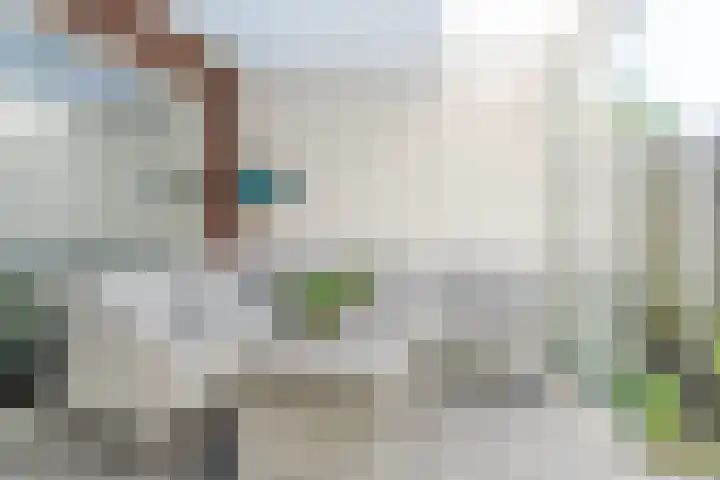 Stoomlederplein 7 Rijen thumbnail 17