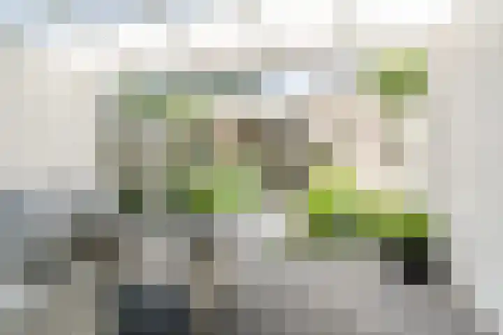 Stoomlederplein 7 Rijen thumbnail 4