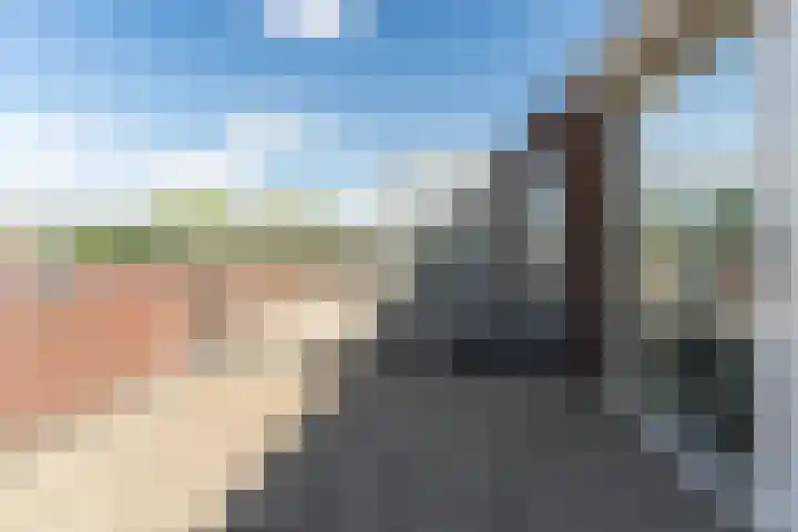 Stoomlederplein 7 Rijen thumbnail 45