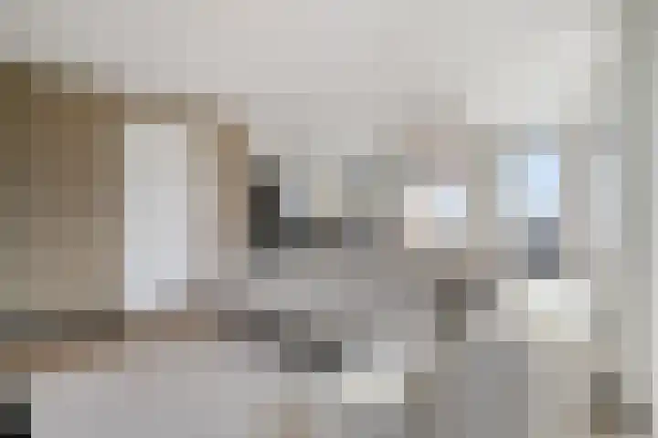 Stoomstraat 149 Eindhoven thumbnail 18