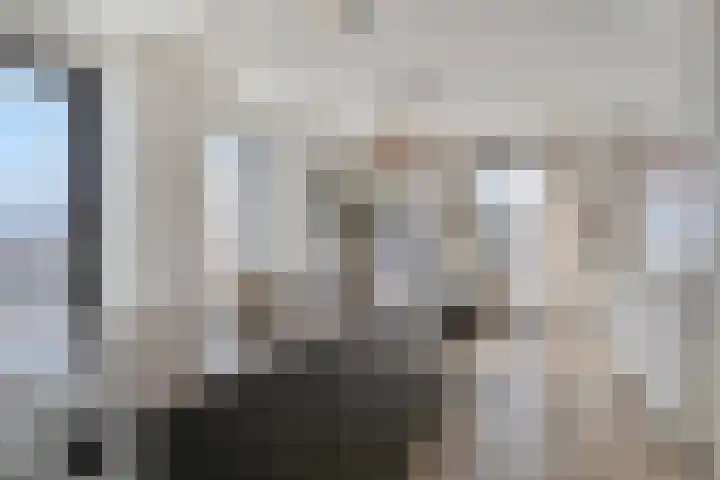 Stoomstraat 149 Eindhoven thumbnail 27