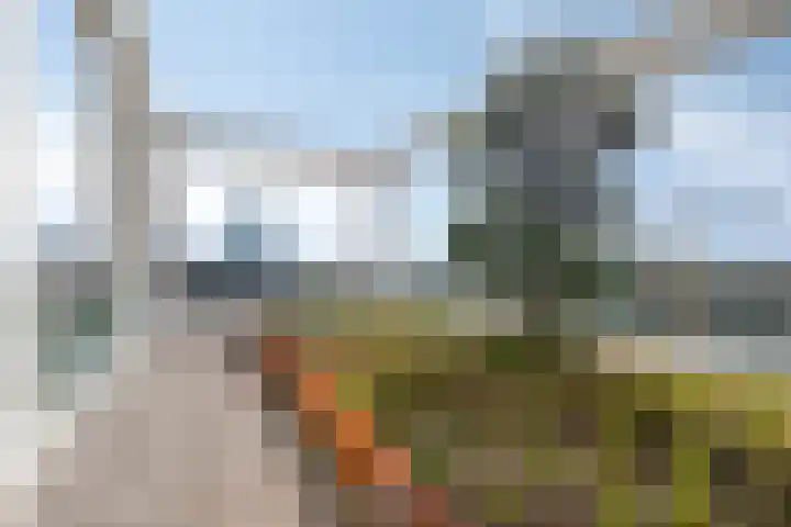 Stoomstraat 149 Eindhoven thumbnail 40