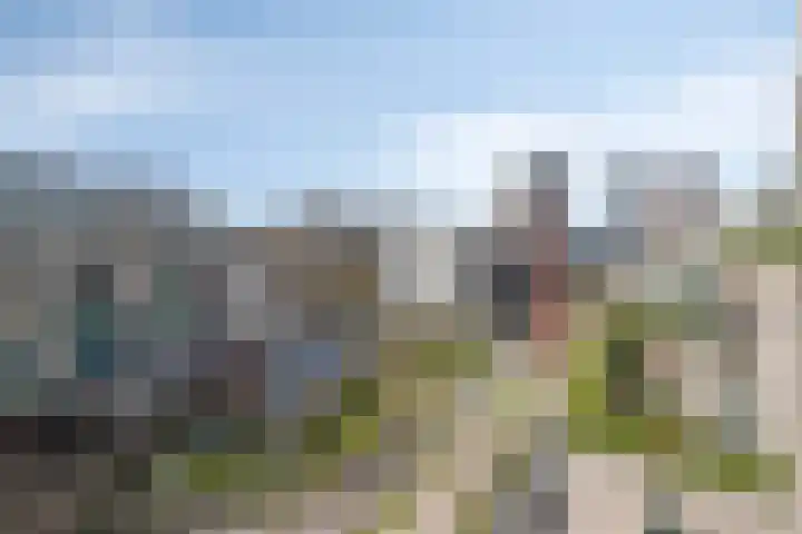 Stoomstraat 149 Eindhoven thumbnail 41