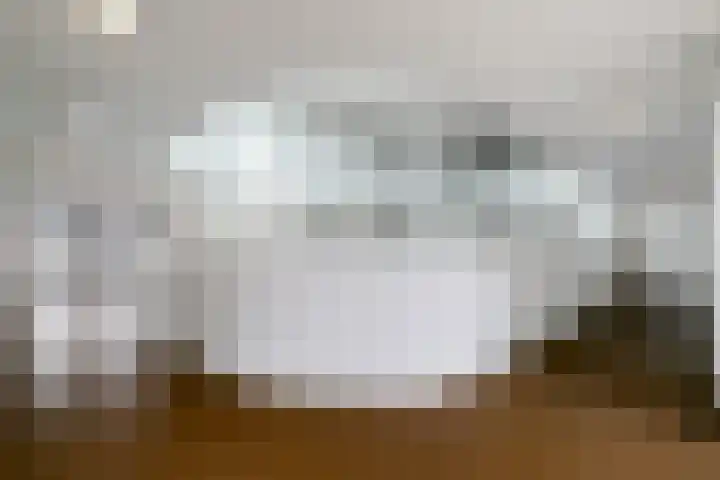 Stoomstraat 149 Eindhoven thumbnail 9