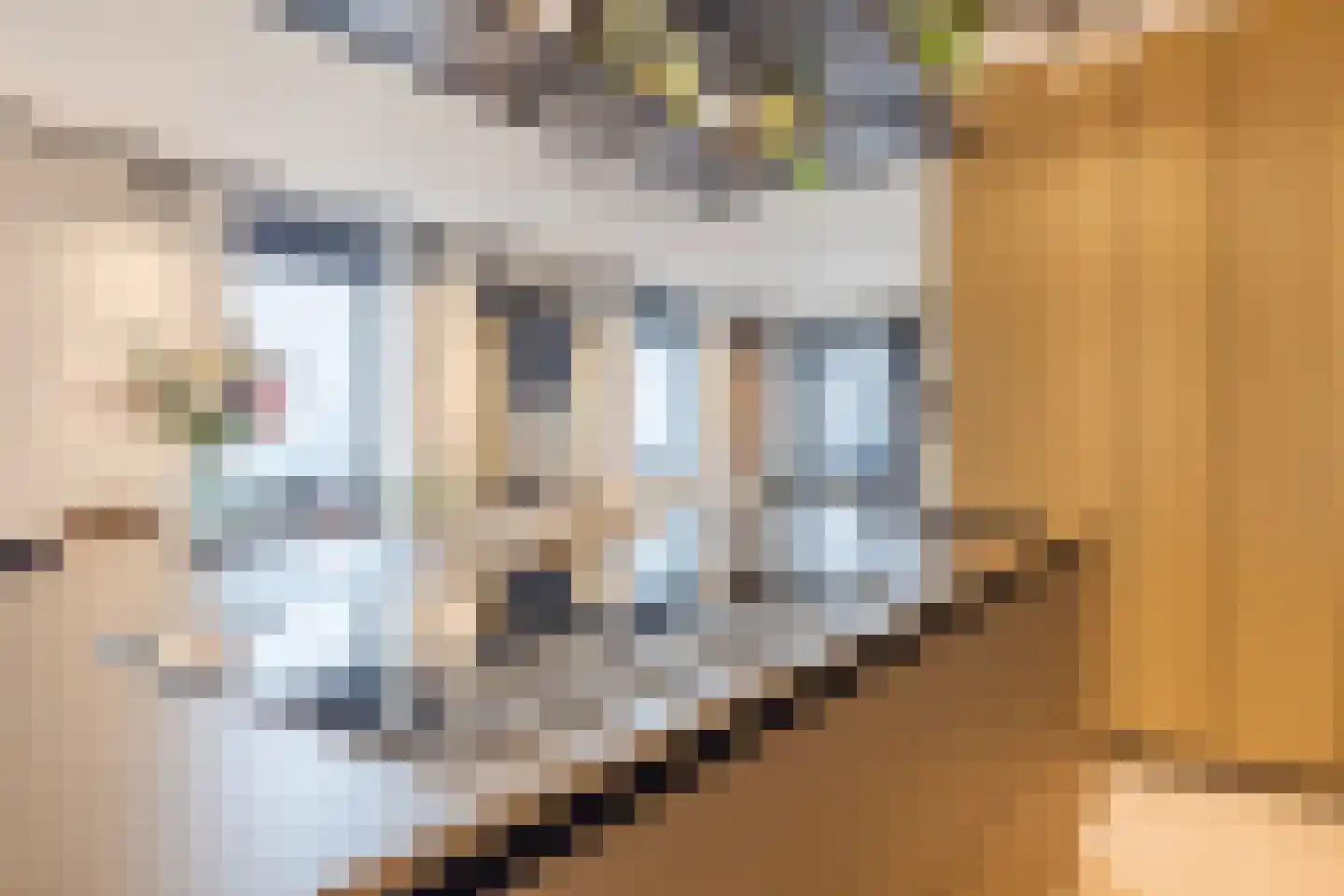 Stoomstraat 187 Eindhoven thumbnail 16