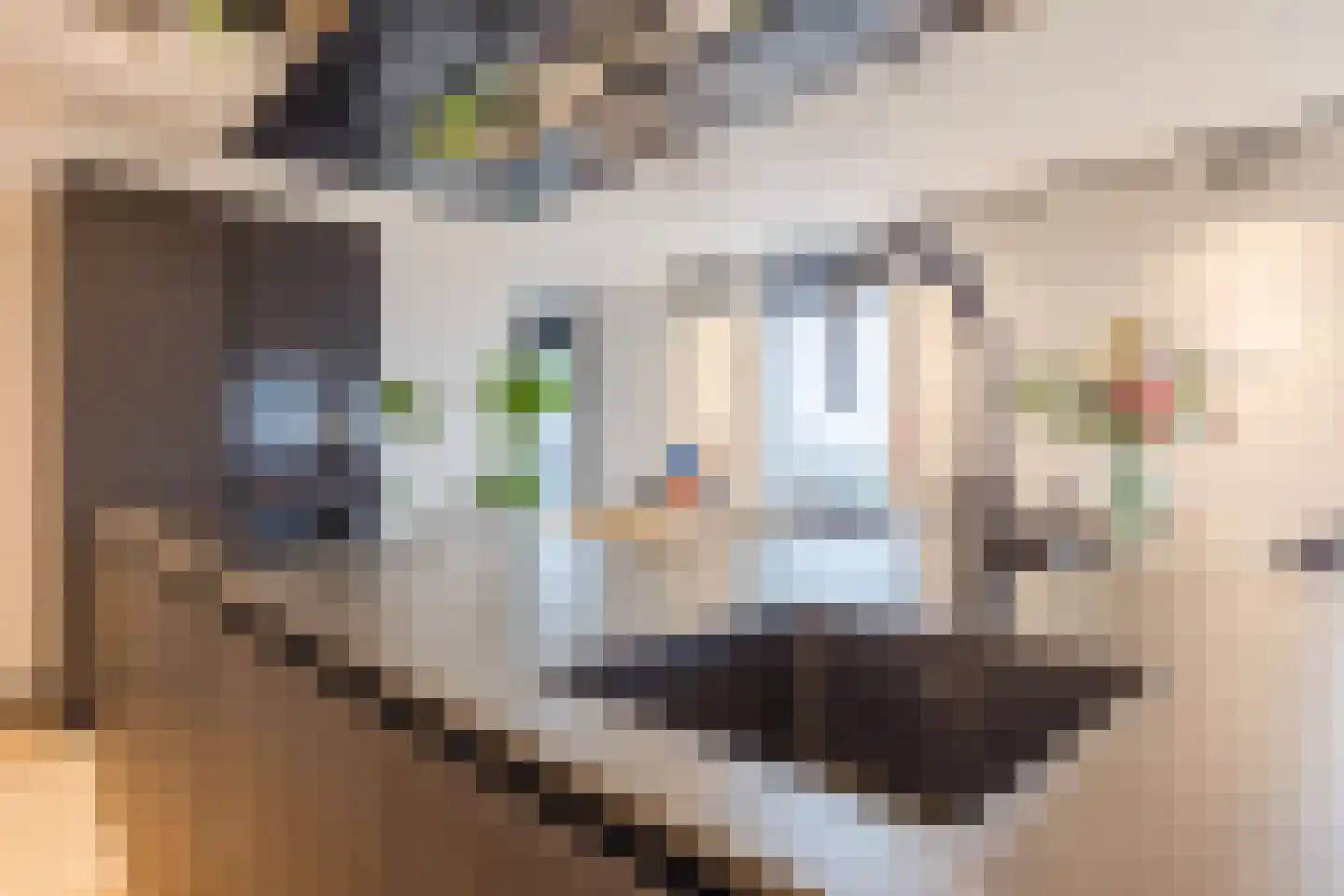 Stoomstraat 187 Eindhoven thumbnail 17