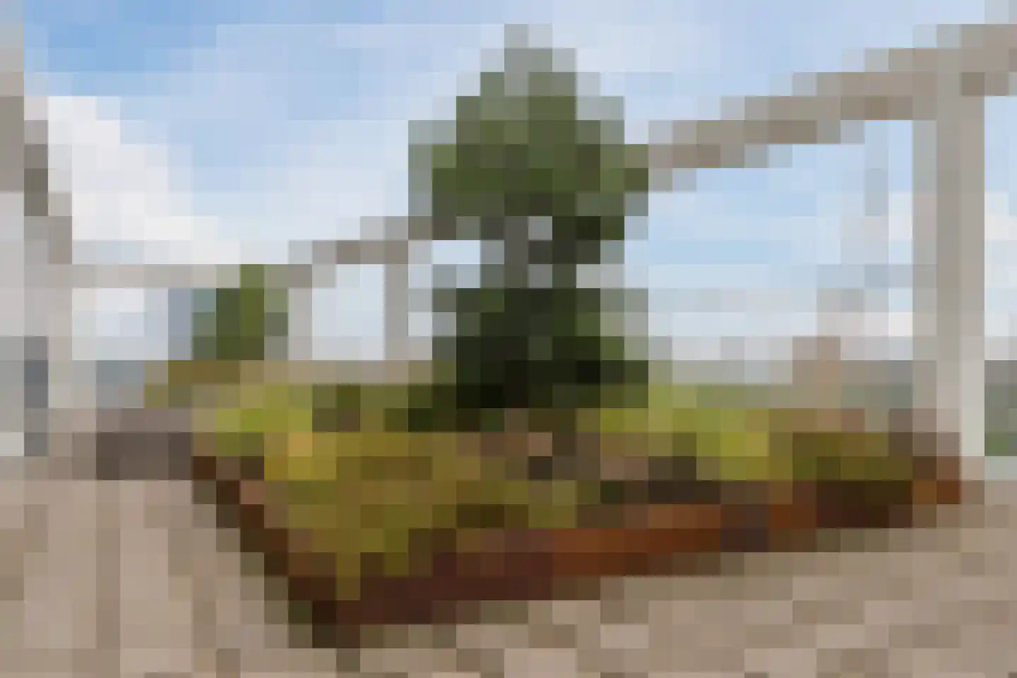 Stoomstraat 187 Eindhoven thumbnail 38
