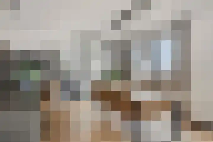Stoomstraat 283 Eindhoven thumbnail 22