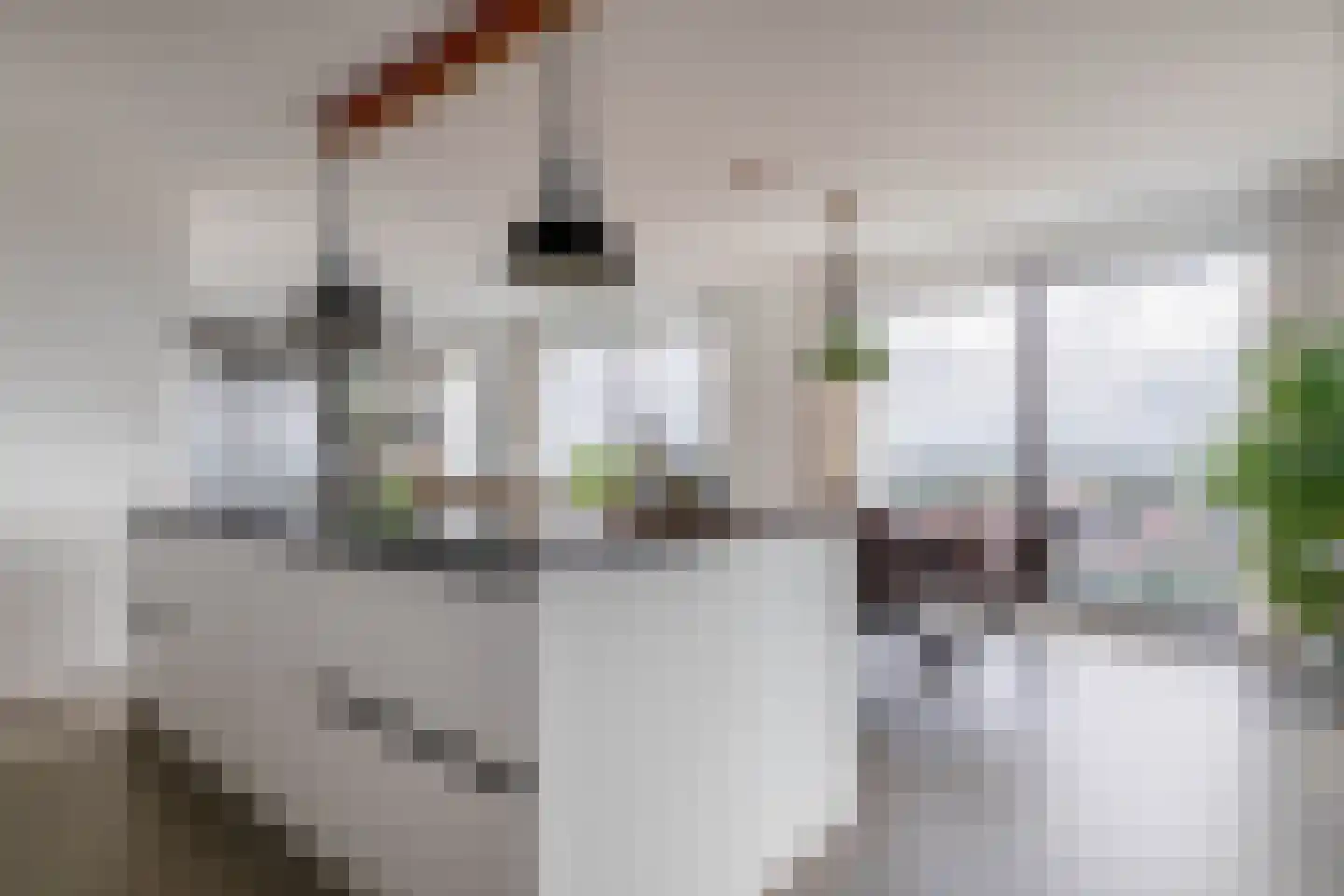 Stoomstraat 293 Eindhoven thumbnail 12