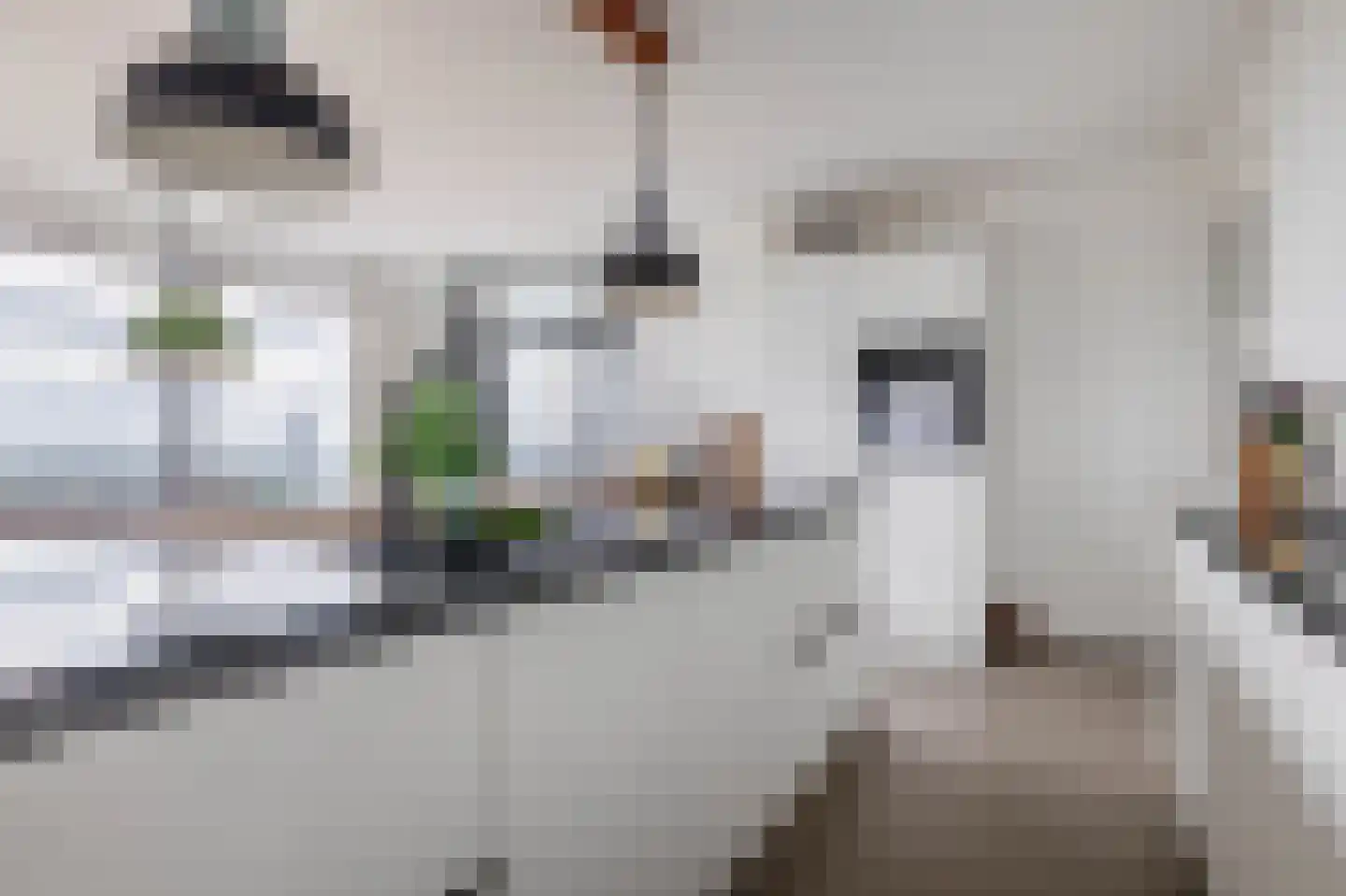 Stoomstraat 293 Eindhoven thumbnail 14