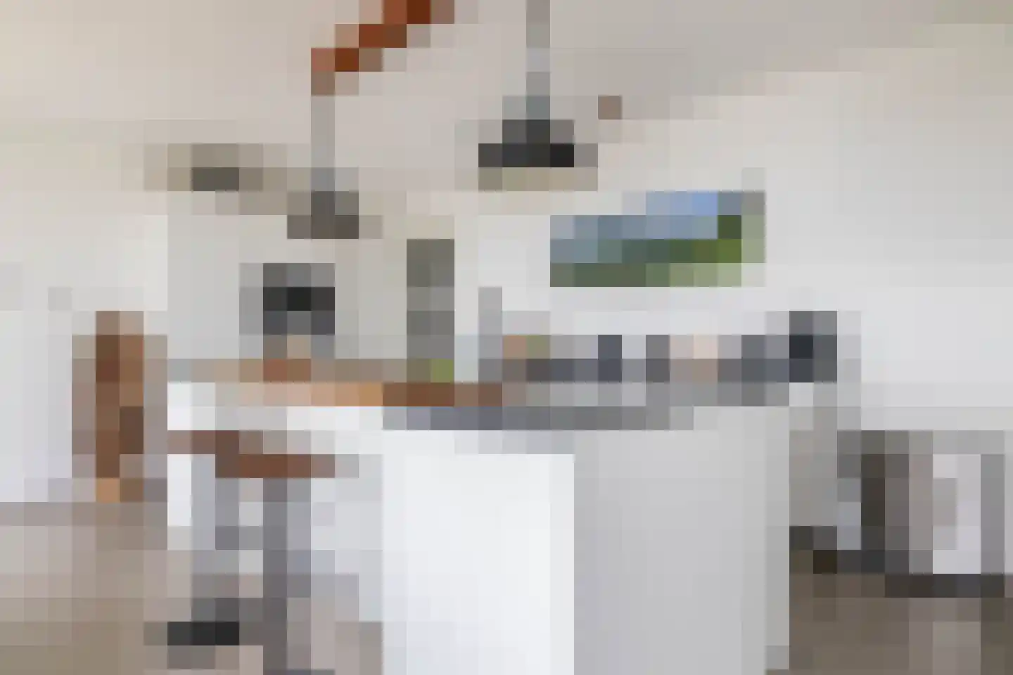 Stoomstraat 293 Eindhoven thumbnail 16