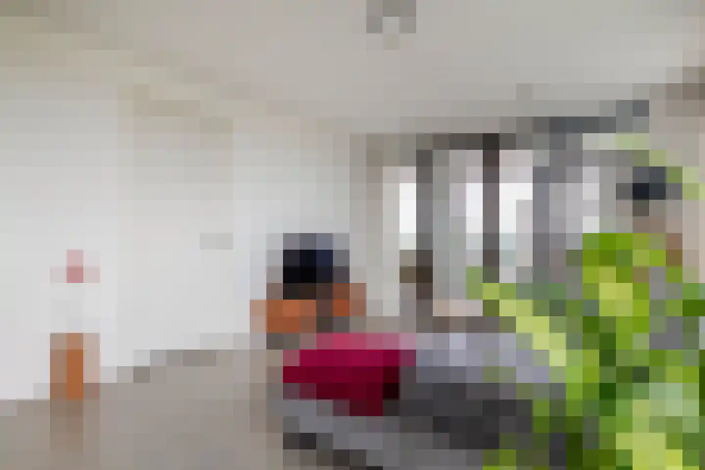 Stoomstraat 293 Eindhoven thumbnail 19