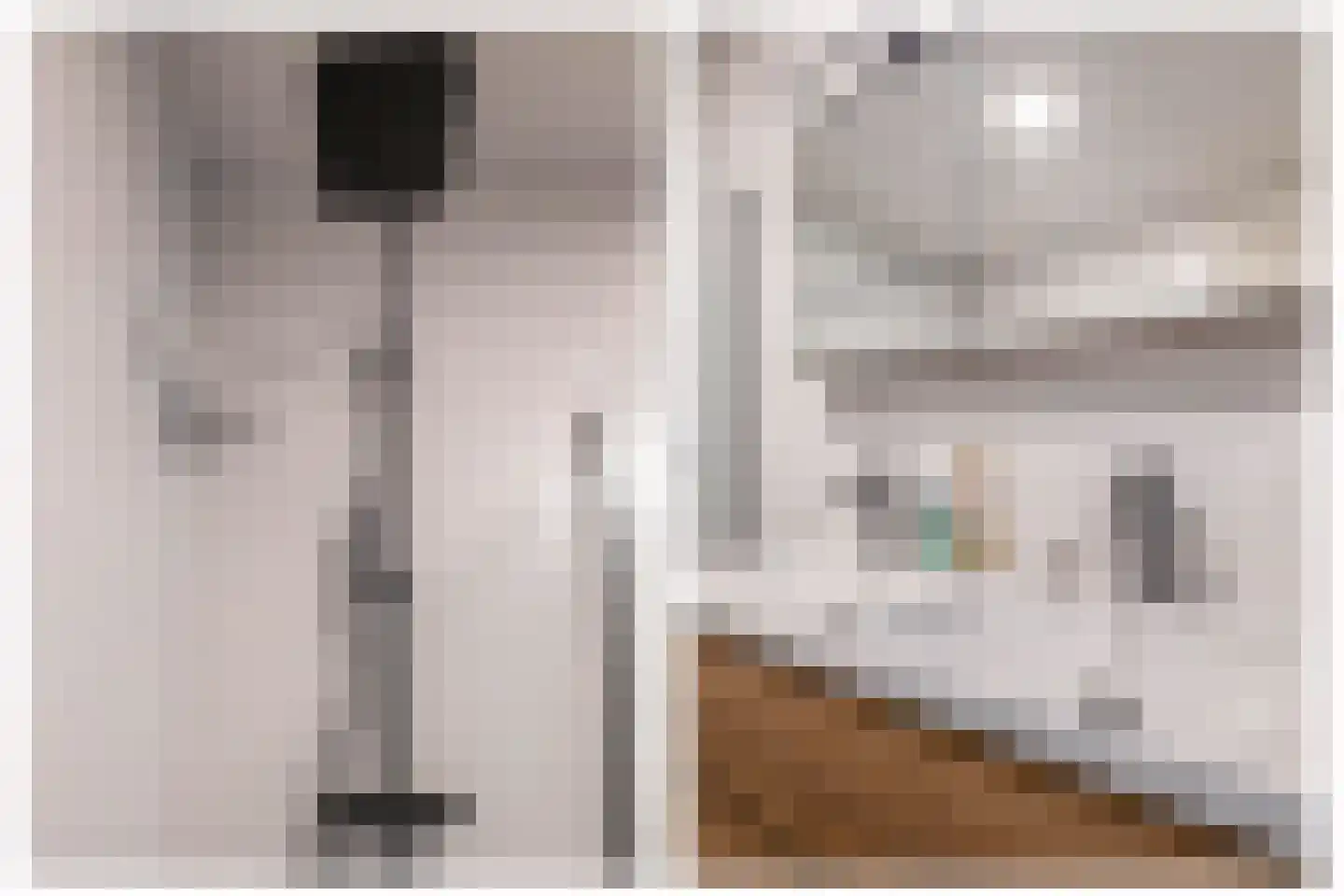 Stoomstraat 293 Eindhoven thumbnail 34