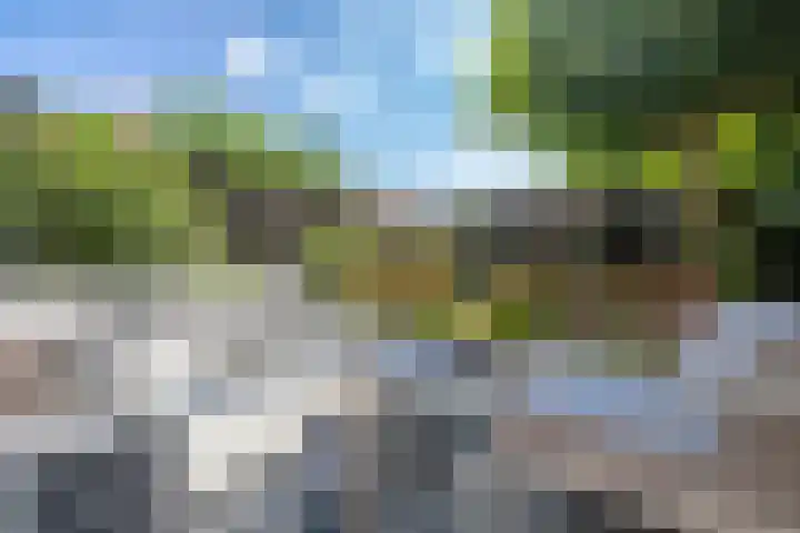 Stoomvaart 13 Arnhem thumbnail 22