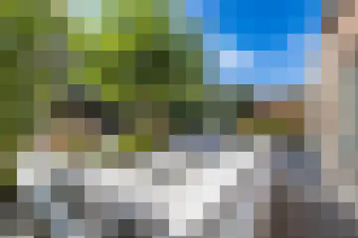Stoomvaart 13 Arnhem thumbnail 24
