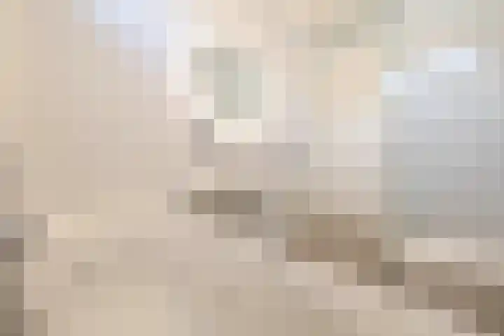 Stoomvaart 13 Arnhem thumbnail 30