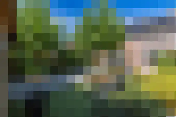 Stoomvaart 13 Arnhem thumbnail 50