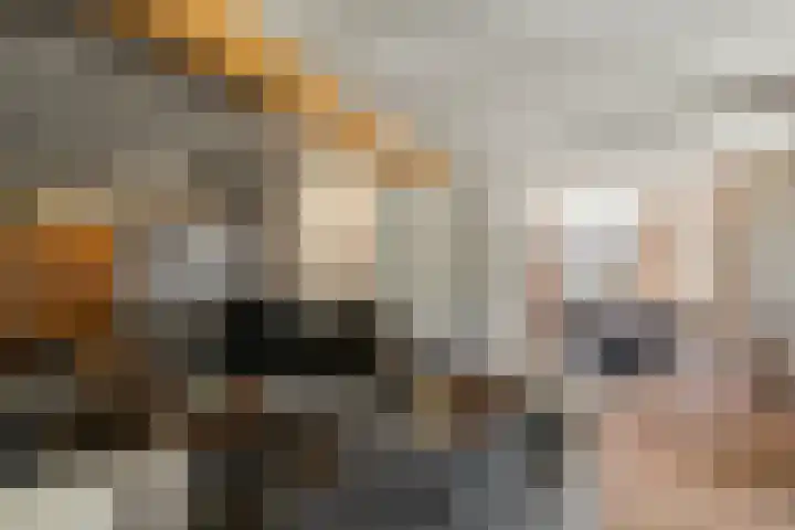 Stoomweg 71 Breezand thumbnail 10