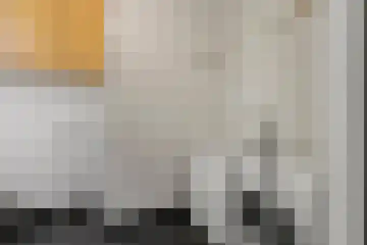 Stoomweg 71 Breezand thumbnail 17