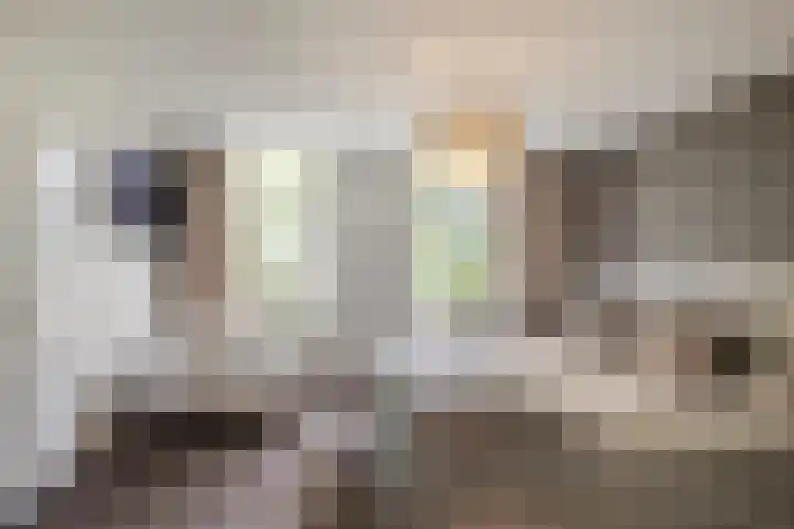 Stoomweg 71 Breezand thumbnail 23