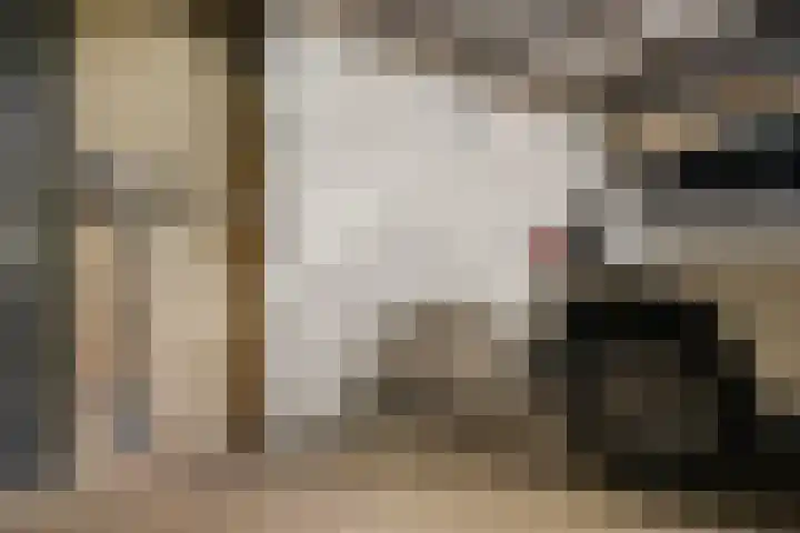 Stoomweg 71 Breezand thumbnail 38