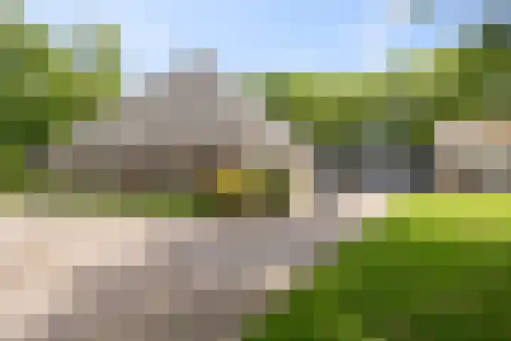 Stoomweg 71 Breezand thumbnail 39