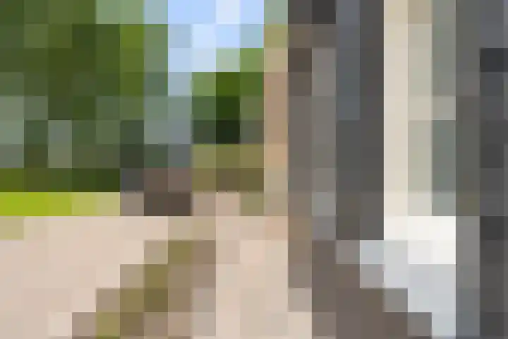 Stoomweg 71 Breezand thumbnail 41