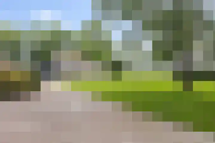 Stoomweg 71 Breezand thumbnail 42