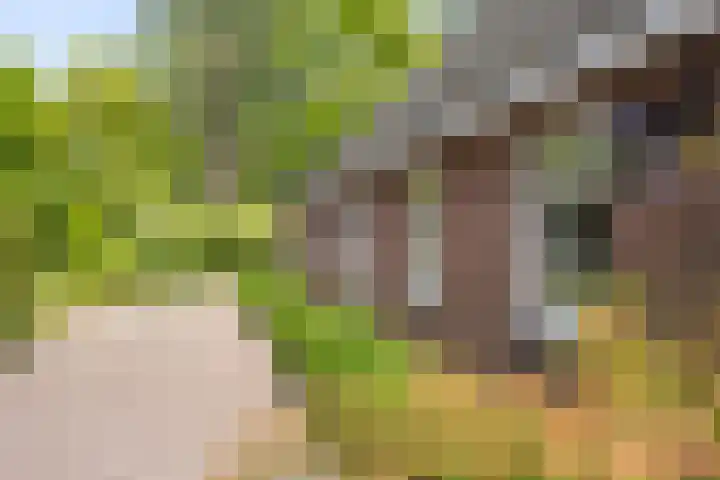 Stoomweg 71 Breezand thumbnail 43