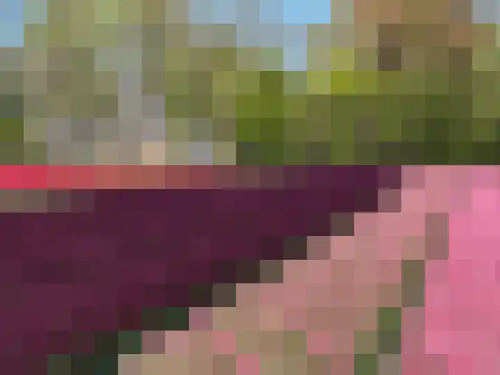 Stoomweg 71 Breezand thumbnail 44
